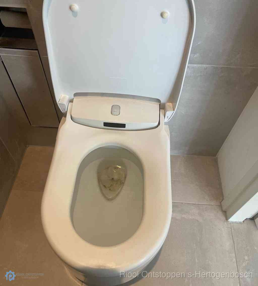 Toilet Ontstoppen s-Hertogenbosch Toilet Ontstoppen s-Hertogenbosch